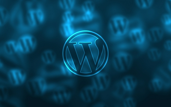 WPML ile WordPress çevirisi – Hıza hazır mısınız? | TOMEDES translation WPML ile WordPress çevirisi – Hıza hazır mısınız? | TOMEDES translation